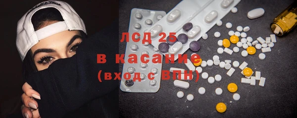 индика Касимов