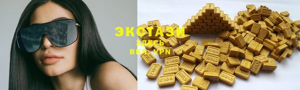индика Касимов