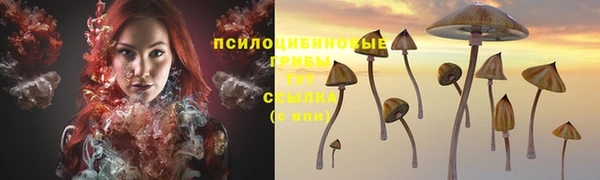 spice Карталы