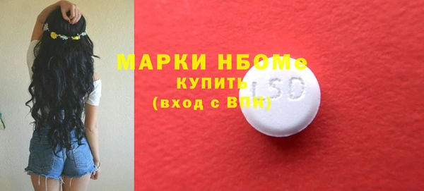 индика Касимов