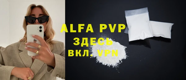 индика Касимов