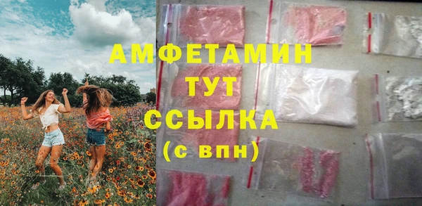 индика Касимов