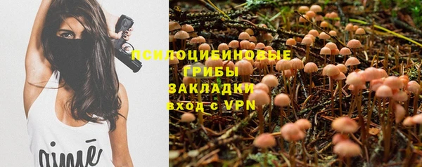 spice Карталы