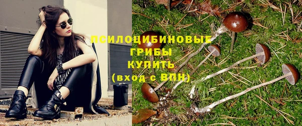 spice Карталы