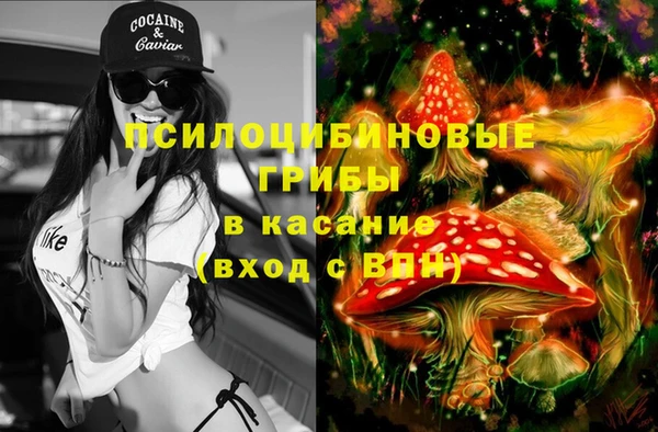 кокаин премиум Карпинск