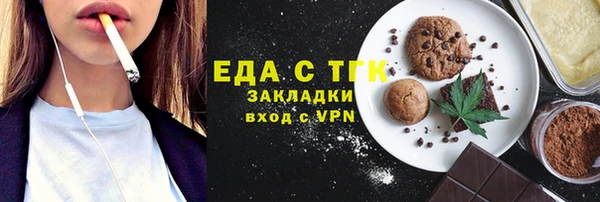 индика Касимов