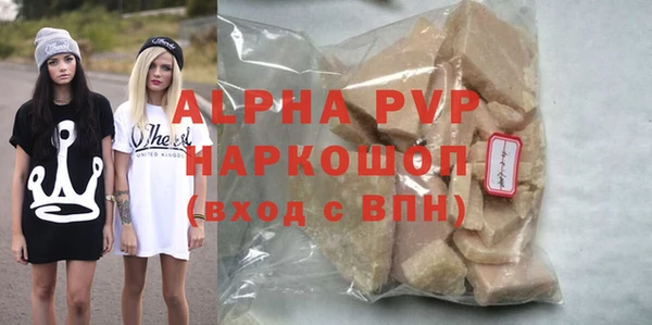 индика Касимов